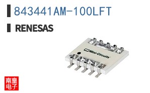 843441AM-100LFT