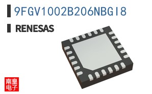 9FGV1002B206NBGI8