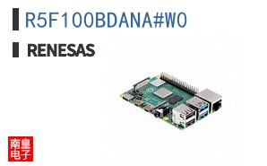 R5F100BDANA#W0