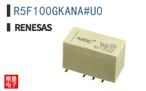 R5F100GKANA#U0