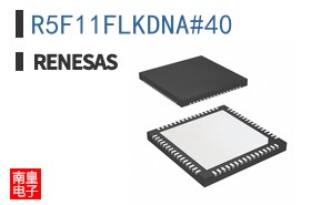 R5F11FLKDNA#40