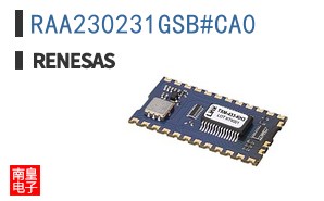 RAA230231GSB#CA0