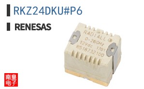 RKZ24DKU#P6